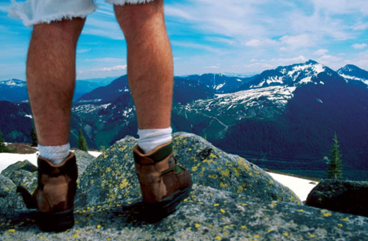 Introducing the "Brain Exchange"