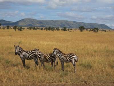 Reverse &ldquo;Identity&rdquo; Shock: Beyond Jet Lag and Culture Clash