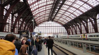 Volunteer as an Expat: Close the Gap Between "Tourist" and "Resident"