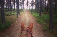 Lessons From Working "Abroad" in Canada