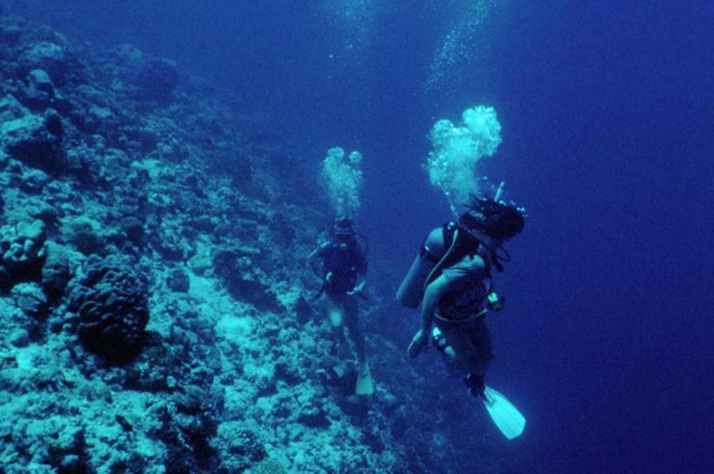 Indonesia's New Marine Ambassadors